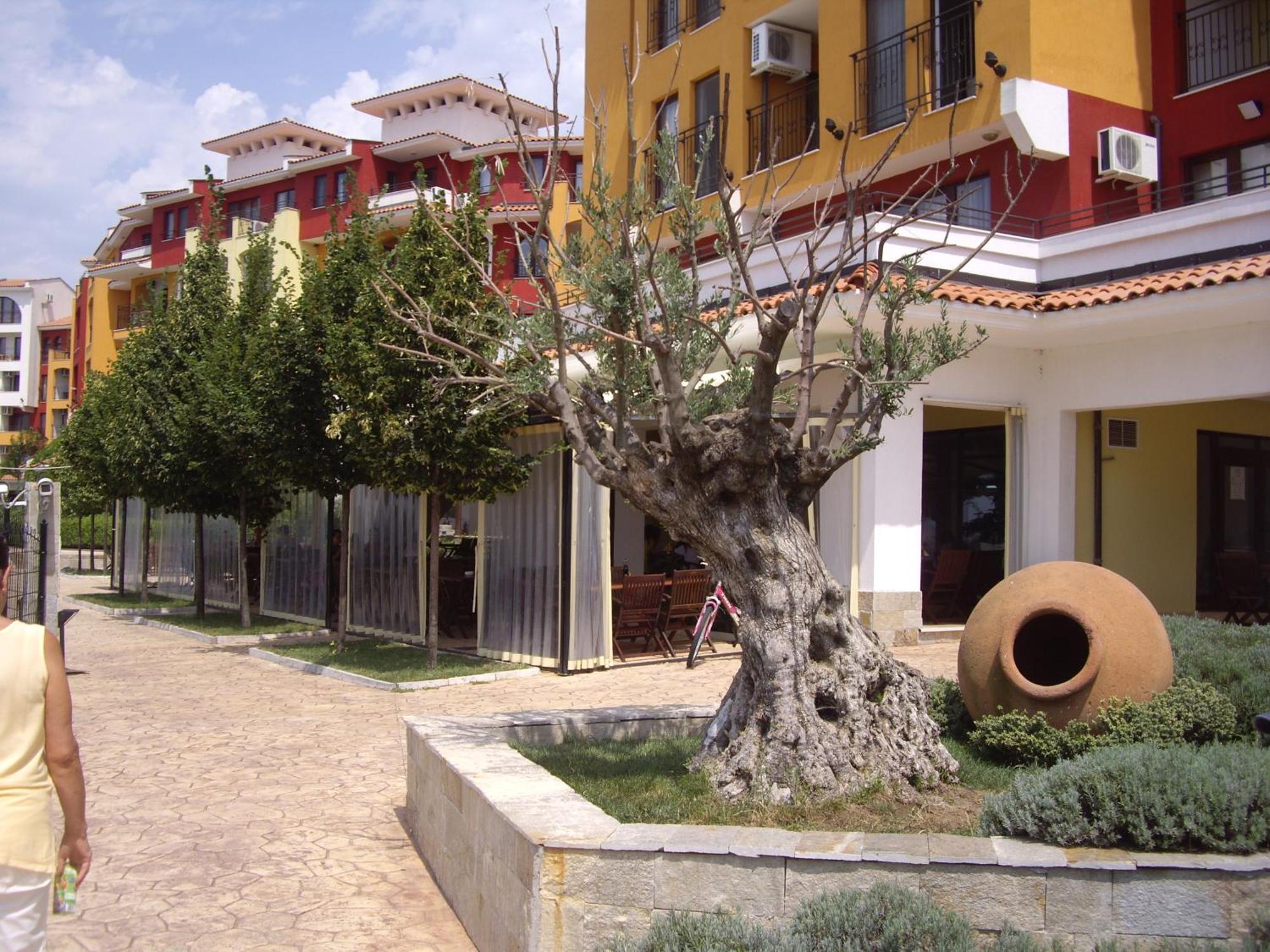 Studio Deluxe In Marina Cape 4 Stars Complex 33 7 Aheloy Εξωτερικό φωτογραφία